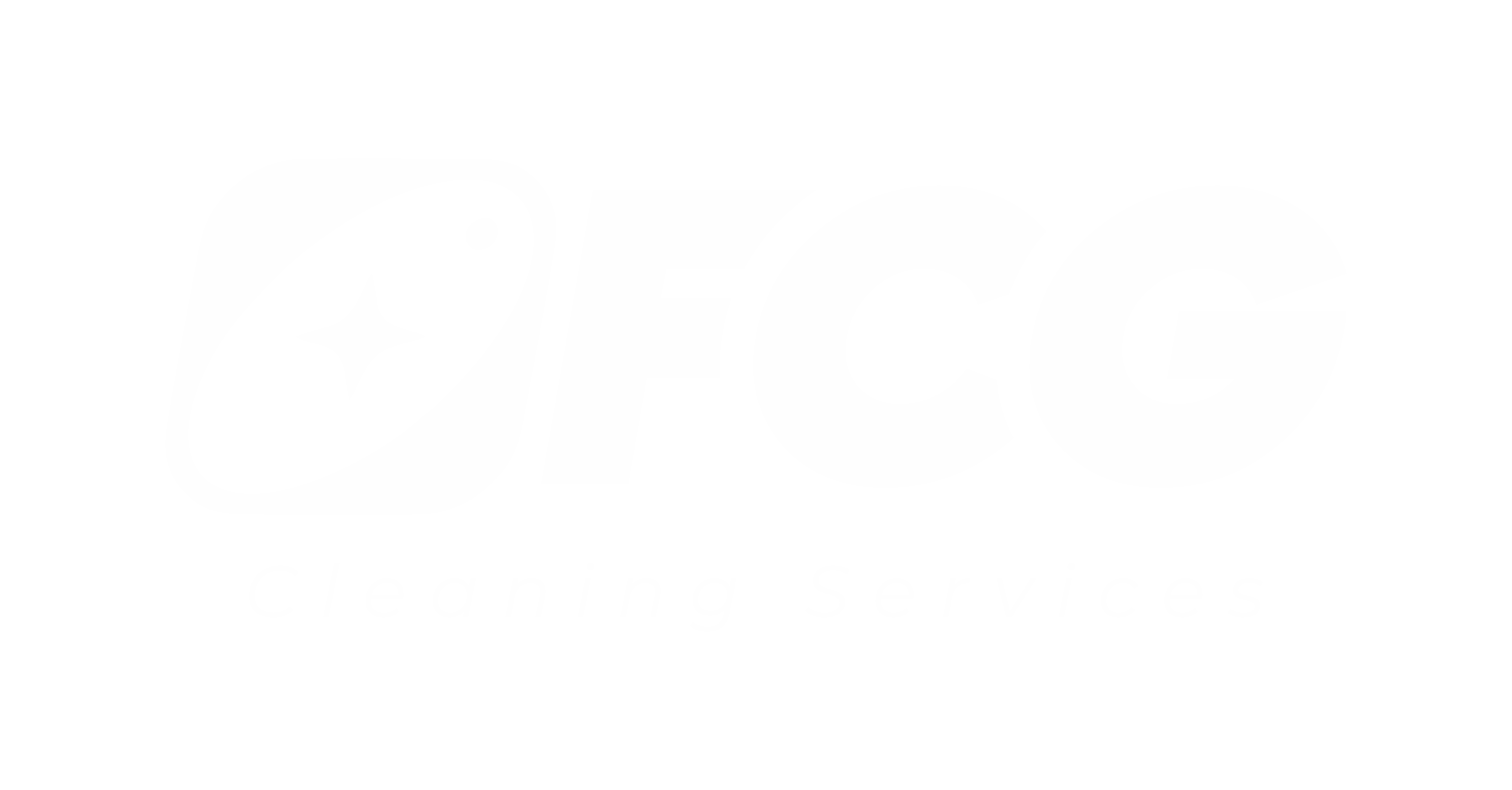 Fresh Cleaning Group